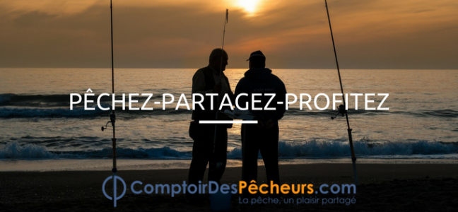 QUI SOMMES NOUS ? 